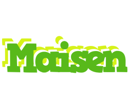 Maisen picnic logo