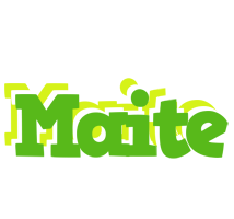 Maite picnic logo