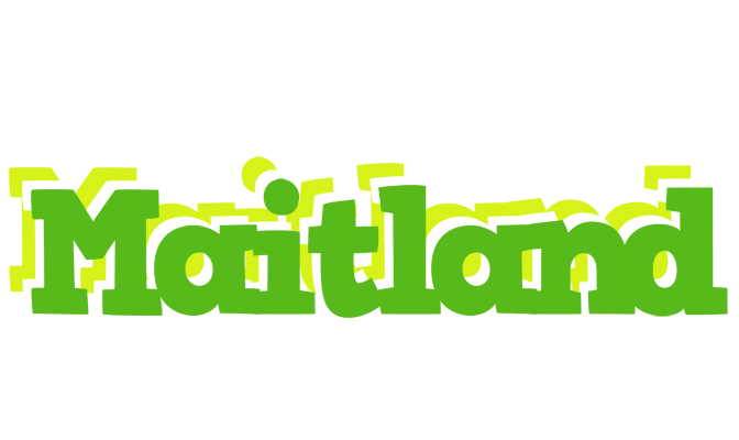 Maitland picnic logo