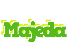 Majeda picnic logo