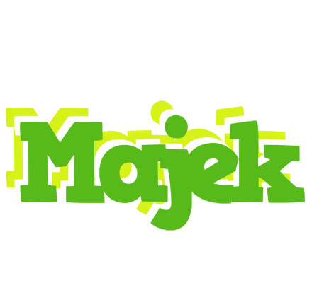 Majek picnic logo