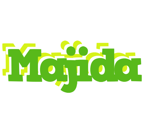 Majida picnic logo