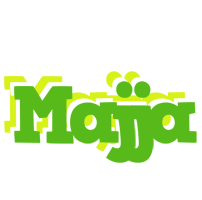 Majja picnic logo