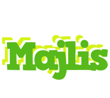 Majlis picnic logo