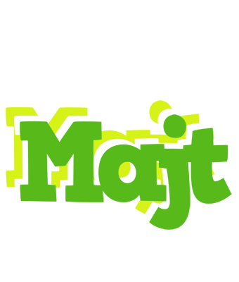 Majt picnic logo