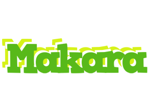 Makara picnic logo