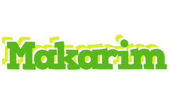 Makarim picnic logo