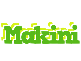 Makini picnic logo