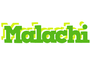 Malachi picnic logo