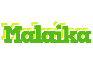 Malaika picnic logo