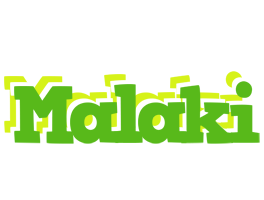 Malaki picnic logo