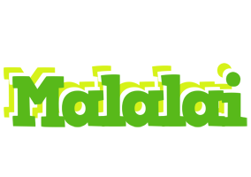 Malalai picnic logo