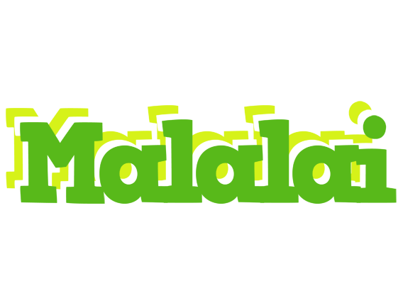 Malalai picnic logo