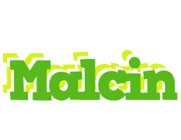 Malcin picnic logo