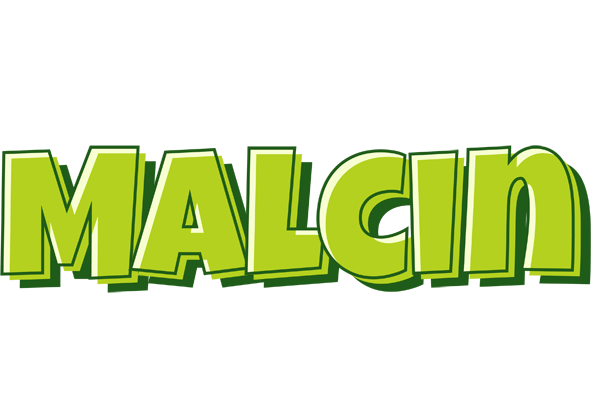 Malcin summer logo