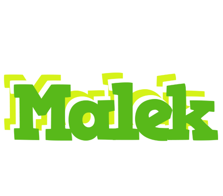Malek picnic logo