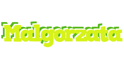 Malgorzata citrus logo