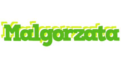 Malgorzata picnic logo