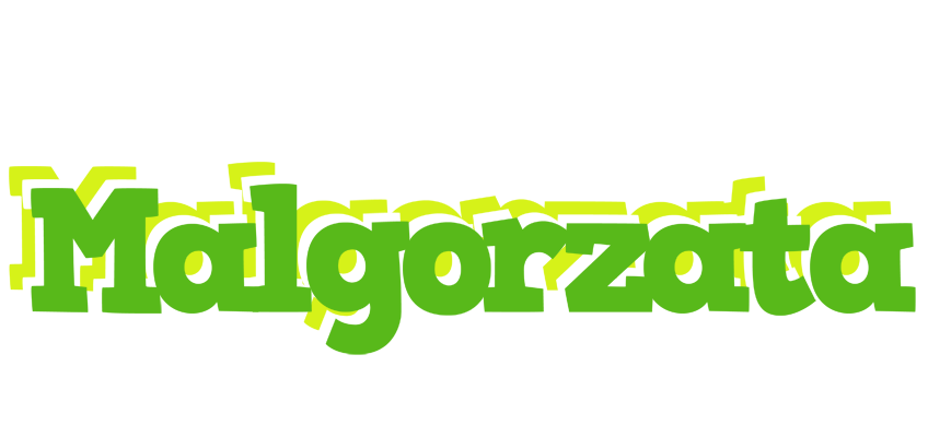 Malgorzata picnic logo
