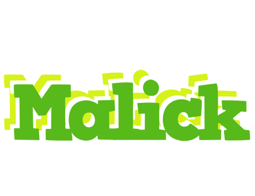 Malick picnic logo