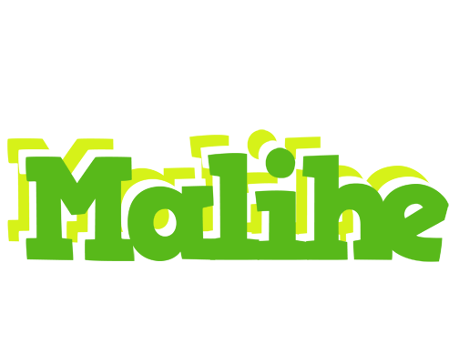 Malihe picnic logo