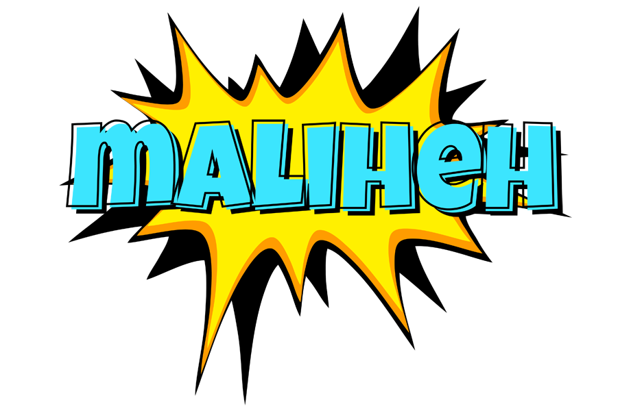 Maliheh indycar logo