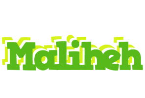 Maliheh picnic logo