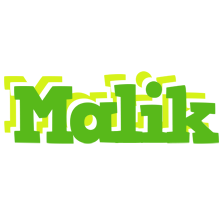 Malik picnic logo