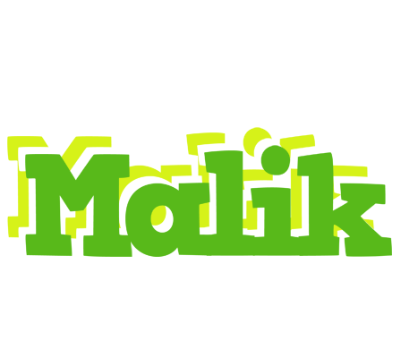 Malik picnic logo