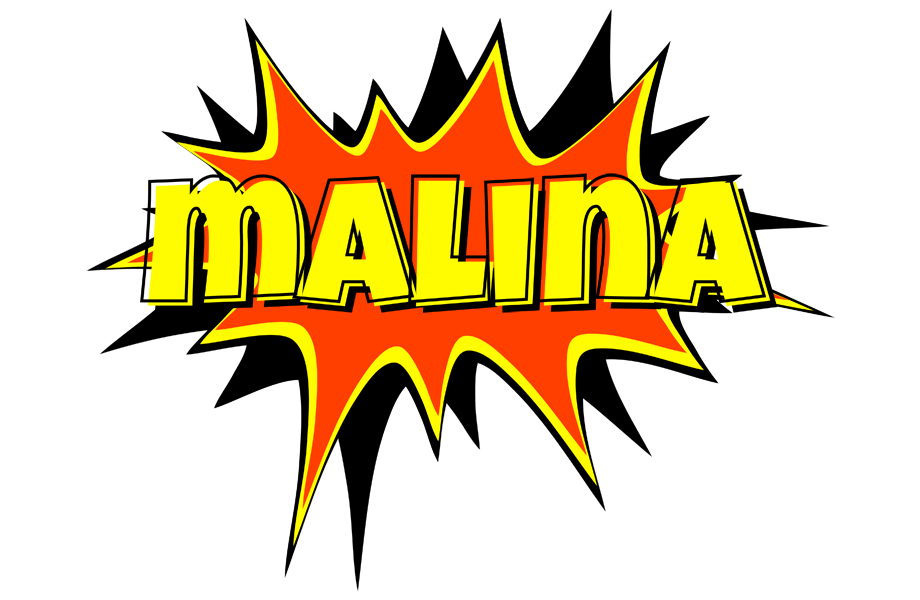 Malina bazinga logo