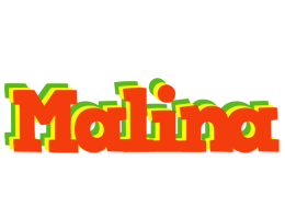 Malina bbq logo