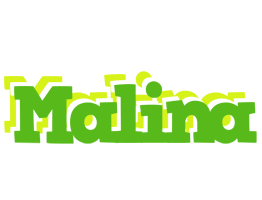 Malina picnic logo