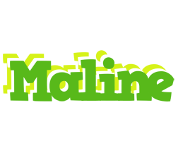 Maline picnic logo