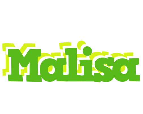 Malisa picnic logo