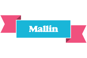 Mallin today logo