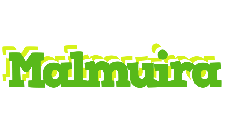 Malmuira picnic logo