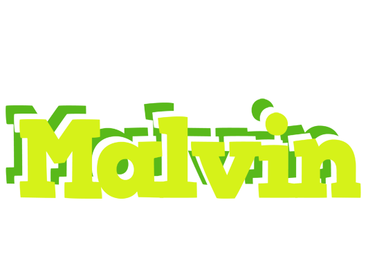 Malvin citrus logo