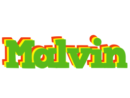 Malvin crocodile logo