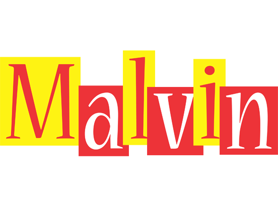 Malvin errors logo