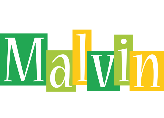 Malvin lemonade logo