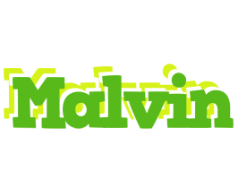 Malvin picnic logo