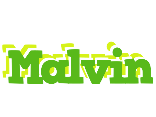 Malvin picnic logo