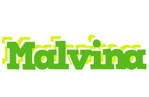 Malvina picnic logo