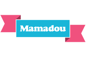 Mamadou today logo