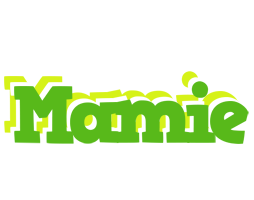 Mamie picnic logo