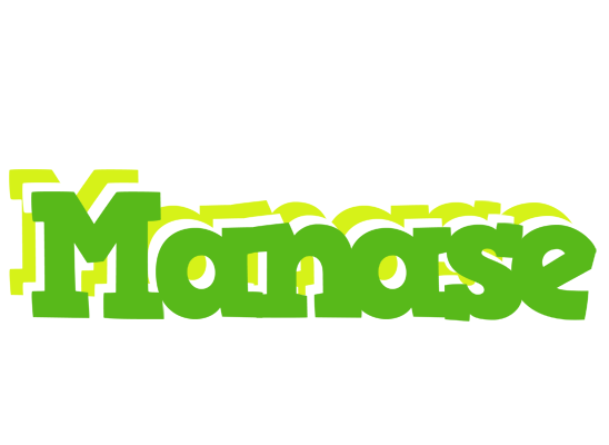 Manase picnic logo