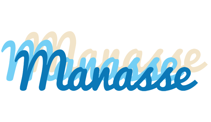 Manasse breeze logo