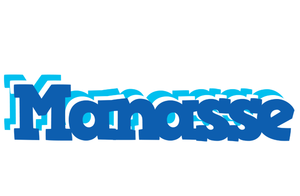 Manasse business logo