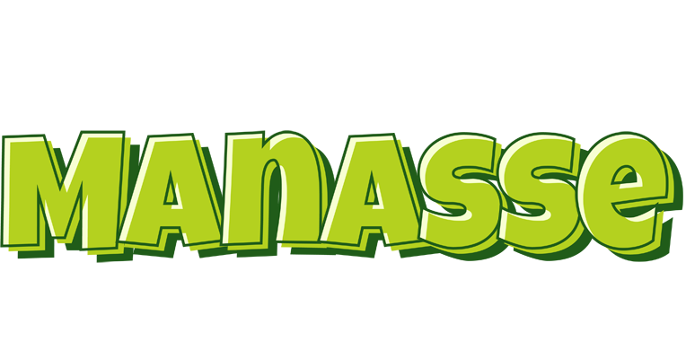 Manasse summer logo