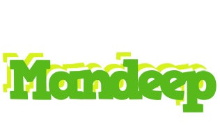 Mandeep picnic logo